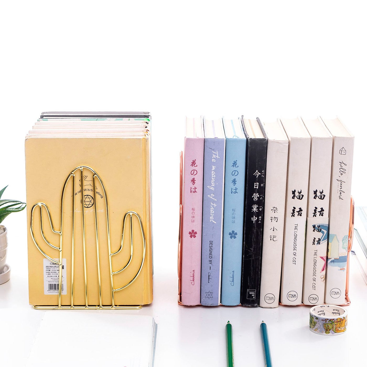 Cactus Bookends